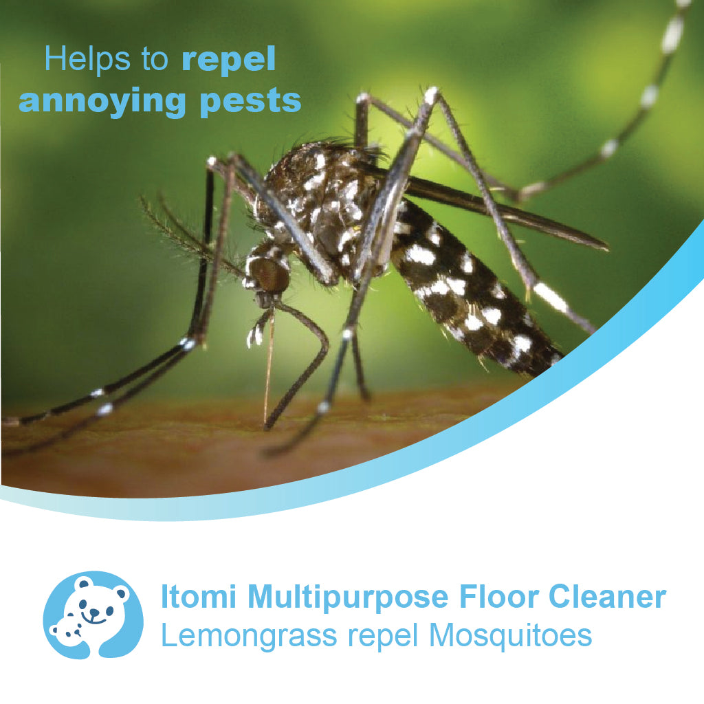 Itomi Lemongrass Floor Cleaner Detergent | Repel Mosquitoes